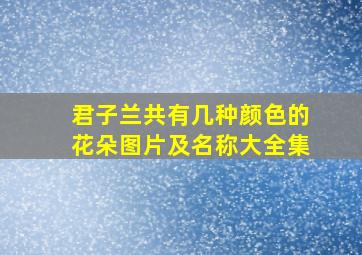 君子兰共有几种颜色的花朵图片及名称大全集