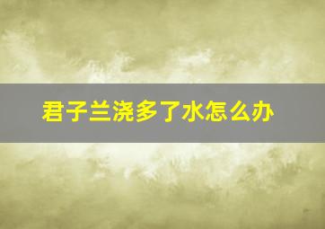 君子兰浇多了水怎么办