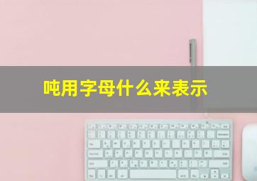 吨用字母什么来表示