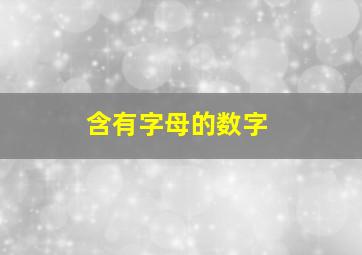 含有字母的数字