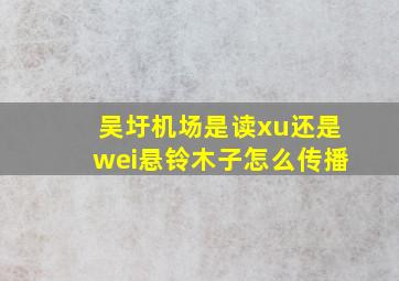 吴圩机场是读xu还是wei悬铃木子怎么传播