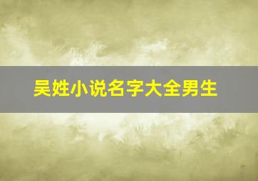 吴姓小说名字大全男生