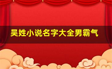 吴姓小说名字大全男霸气