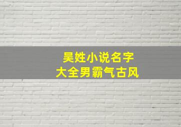 吴姓小说名字大全男霸气古风