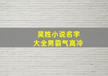 吴姓小说名字大全男霸气高冷