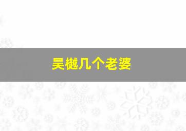 吴樾几个老婆