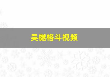 吴樾格斗视频