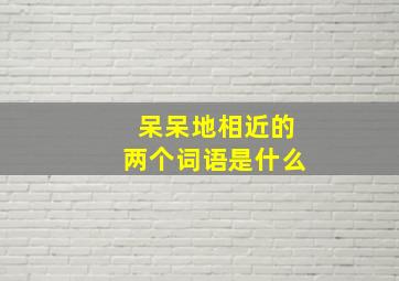 呆呆地相近的两个词语是什么