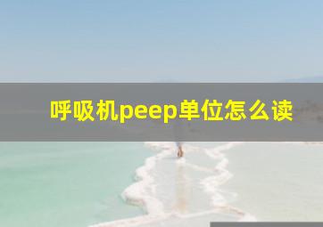 呼吸机peep单位怎么读