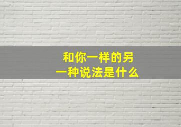 和你一样的另一种说法是什么