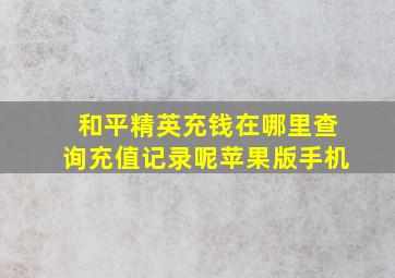 和平精英充钱在哪里查询充值记录呢苹果版手机