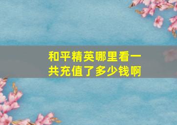 和平精英哪里看一共充值了多少钱啊