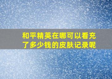 和平精英在哪可以看充了多少钱的皮肤记录呢