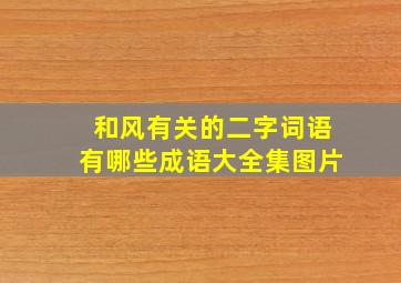 和风有关的二字词语有哪些成语大全集图片