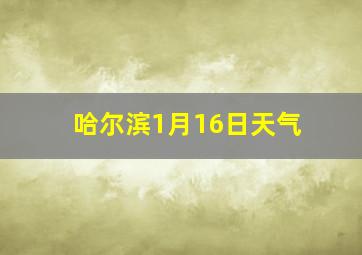 哈尔滨1月16日天气