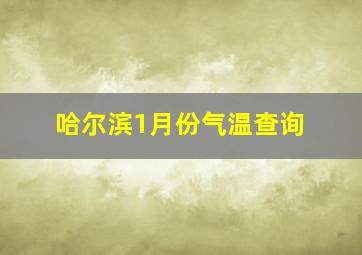 哈尔滨1月份气温查询