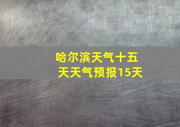 哈尔滨天气十五天天气预报15天