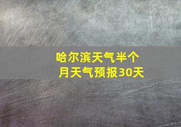 哈尔滨天气半个月天气预报30天