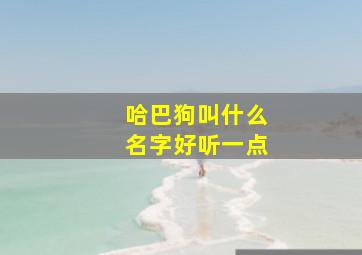 哈巴狗叫什么名字好听一点