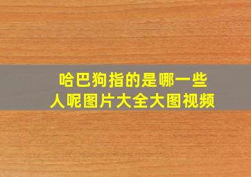 哈巴狗指的是哪一些人呢图片大全大图视频