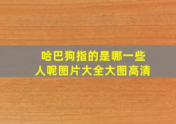 哈巴狗指的是哪一些人呢图片大全大图高清