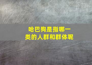 哈巴狗是指哪一类的人群和群体呢