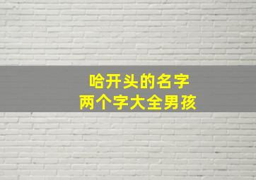 哈开头的名字两个字大全男孩