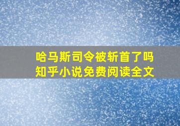 哈马斯司令被斩首了吗知乎小说免费阅读全文