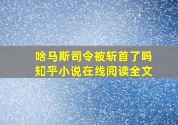 哈马斯司令被斩首了吗知乎小说在线阅读全文