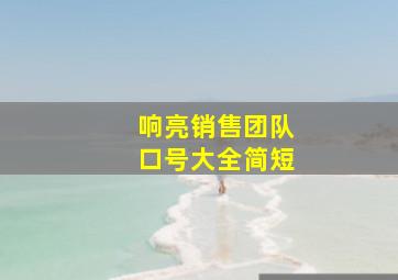 响亮销售团队口号大全简短