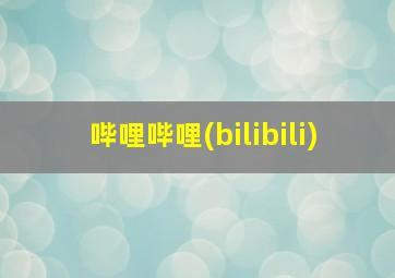 哔哩哔哩(bilibili)