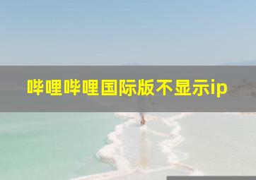 哔哩哔哩国际版不显示ip