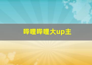 哔哩哔哩大up主