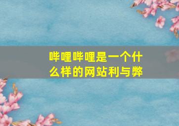 哔哩哔哩是一个什么样的网站利与弊