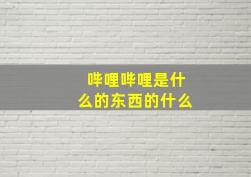 哔哩哔哩是什么的东西的什么