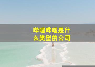 哔哩哔哩是什么类型的公司