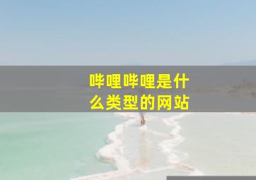 哔哩哔哩是什么类型的网站