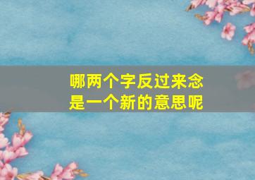 哪两个字反过来念是一个新的意思呢