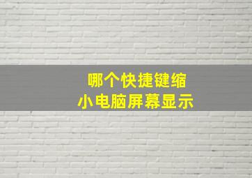 哪个快捷键缩小电脑屏幕显示