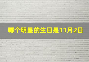 哪个明星的生日是11月2日