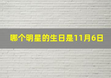 哪个明星的生日是11月6日