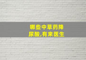 哪些中草药降尿酸,有来医生