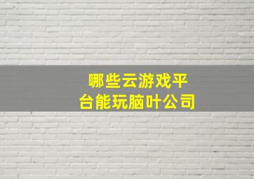 哪些云游戏平台能玩脑叶公司