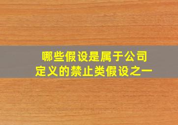 哪些假设是属于公司定义的禁止类假设之一