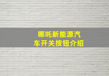 哪吒新能源汽车开关按钮介绍