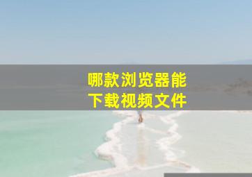 哪款浏览器能下载视频文件