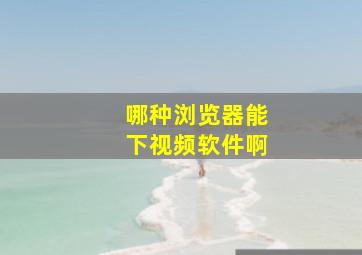 哪种浏览器能下视频软件啊