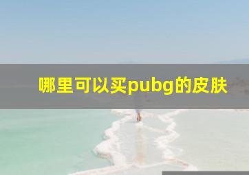 哪里可以买pubg的皮肤