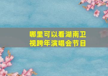 哪里可以看湖南卫视跨年演唱会节目