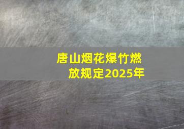 唐山烟花爆竹燃放规定2025年